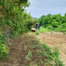 사리농장 이미지