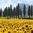 멋진 하루 이미지