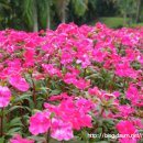 가나농장 이미지