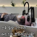 올림픽파크 | 천호 탈모 강동구 헤드스파 추천 컬러드스파 올림픽파크포레온점 다녀온 후기