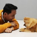 형도농장 이미지