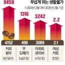 2025년2월13일 주요 뉴스 요약 정리 (동일한 질문에 대한 결과)