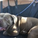 어서타개 이미지