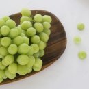 유목농장 이미지