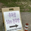 하동 찻집 &#39;매암제다원/매암차박물관&#39; 애견동반 녹차밭