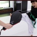 경희대 KTIGERS 태권도 | 계룡태권도 경희대KTIGERS에서 체험한 태권도의 묘미