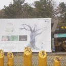 치유의숲 화장실 이미지