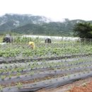 상단농장 이미지