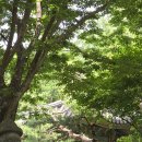 0705.관악산 1.홍촌 마애 승상 이미지