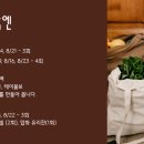꼬삐아 이미지