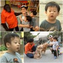 덥석