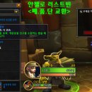 안젤로 빈 이미지