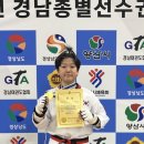 가촌코리아태권도장 이미지