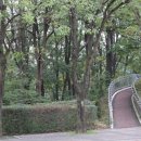 나누리사주
