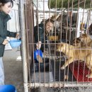 한국인농장 이미지