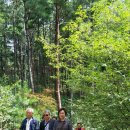 신우여행사 - 송파구 송파대로28길 20 | 신우여행사