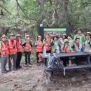 개인(강정숙) 이미지