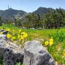 봉글레산 이미지