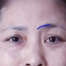 더디자인선 이미지