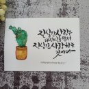 달빛노을캘리그라피디자인