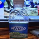 연세플랜치과의원 이미지