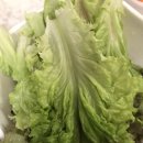 353-4멸치국수