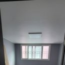 2019-02-0131