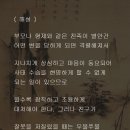 채근담(菜根譚) - 전집 제113장 / 친구의 과실을 보게 되면 방치해서는 안된다. 이미지