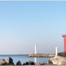 서부두 명품회집거리 이미지