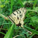 신천자원 이미지