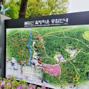 불암산 | : 2025년 불암산 철쭉제 후기(애슐리 노원점)