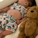 유로코피자 구미문장점 | 먹은 것 지른 것 받은 것 그리고 아기천사