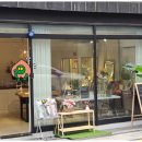 레플레르 이미지