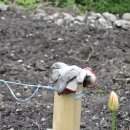 섬김농장 이미지