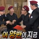 카페돌핀 이미지