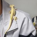 조선왕가(주) 이미지