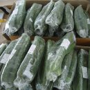 자연과 사람 이미지