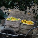 YOLO(욜로)민박 이미지