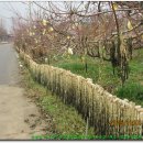 용정경로당 이미지