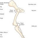 탑스동물병원 이미지