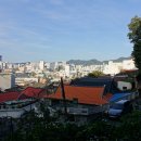 사직공원 유아숲 네이버블로그