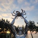 창포곶펜션 | 영덕여행...벌영리메타세콰이어숲길트래킹.영리해수욕장.고래불해수욕장.축산항천리미항식당.블루로드...