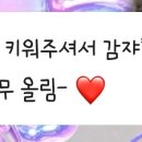 디어마이모모 이미지