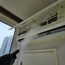 로제리움2차 이미지