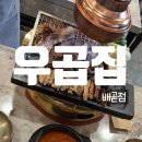 우곱집배곧점 이미지
