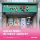 고실건강약국 네이버블로그