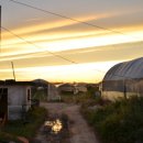 유기농라이프 이미지