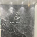 브리더독 | 동탄강아지 분양 차밍독 후기 건강하고 사랑 가득한 공간