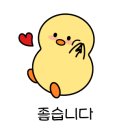 안경나라송정점 네이버블로그