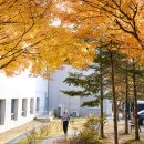 양주시청 더코리아
